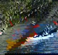 Kayak and SUP Guided Tours - Accommodation VIC