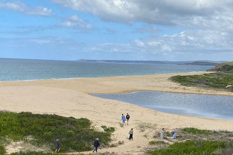 The Eurobodalla Experience (Full Day Private Tour Including Lunch) - Accommodation VIC 19