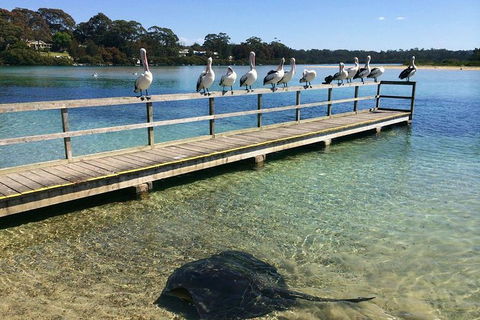 The Eurobodalla Experience (Full Day Private Tour Including Lunch) - Accommodation VIC 2