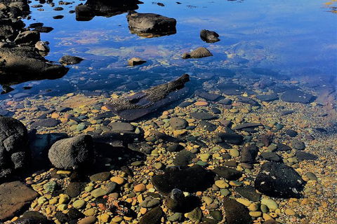 The Eurobodalla Experience (Full Day Private Tour Including Lunch) - Accommodation VIC 14