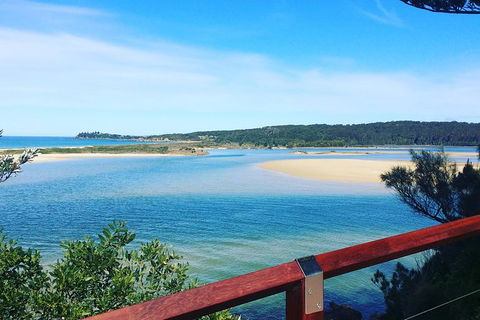 The Eurobodalla Experience (Full Day Private Tour Including Lunch) - Accommodation VIC 22