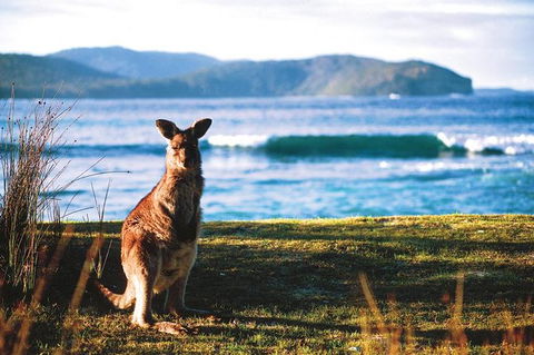 The Eurobodalla Experience (Full Day Private Tour Including Lunch) - Accommodation VIC 7