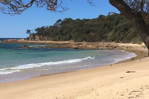 The Eurobodalla Experience (Full Day Private Tour Including Lunch) - Accommodation VIC 13