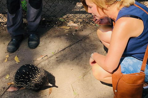 The Eurobodalla Experience (Full Day Private Tour Including Lunch) - Accommodation VIC 18