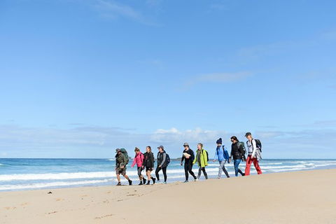 3 Day Murramarang Coast Journey From Batemans Bay With Meals And Villa Accom - Accommodation VIC 7