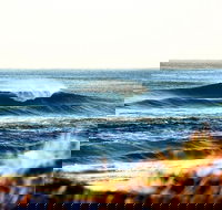 7-Day Byron Bay Evans Head and Moonee Beach Surf Safari from Brisbane Gold Coast or Byron Bay - Accommodation VIC
