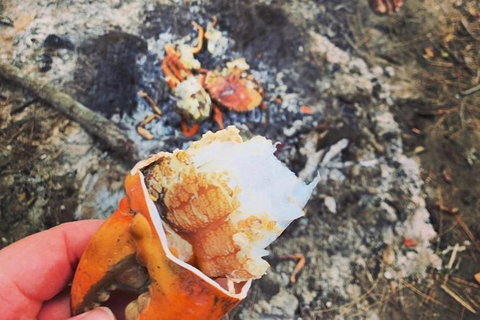 Pot To Plate Adventure - Accommodation VIC 4