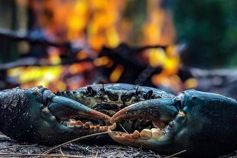 Pot To Plate Adventure - Accommodation VIC 11