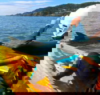 Byron Bay Combo Hinterland Tour Including Minyon Falls and Kayaking with Dolphins - Accommodation VIC