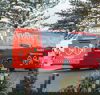 SkyBus Byron Bay Express - Accommodation VIC
