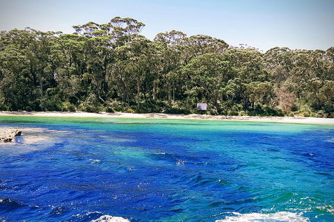 Jervis Bay Passage Tour - Accommodation VIC 1