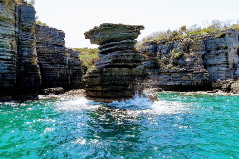 Jervis Bay Passage Tour - Accommodation VIC 15