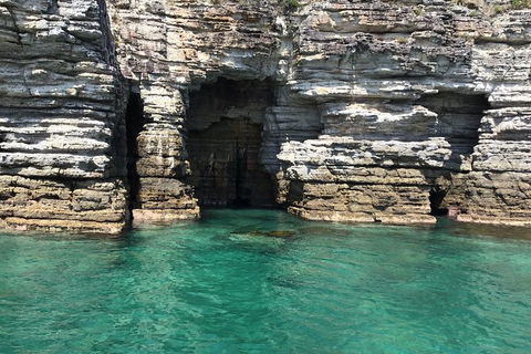 Jervis Bay Passage Tour - Accommodation VIC 13