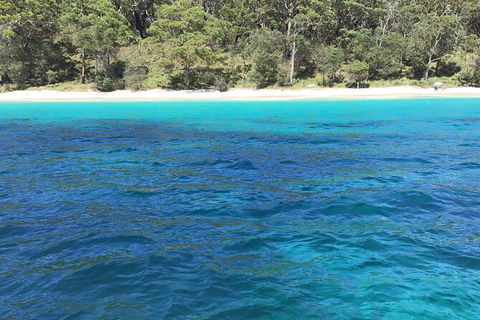 Jervis Bay Passage Tour - Accommodation VIC 5