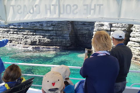 Jervis Bay Passage Tour - Accommodation VIC 7