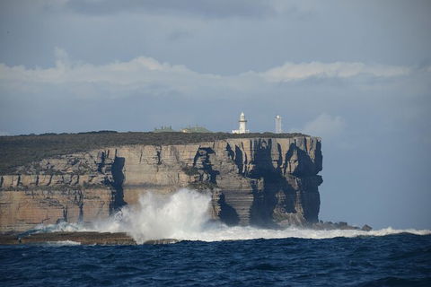 Jervis Bay Passage Tour - Accommodation VIC 8