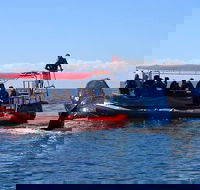 Byron Bay Whale Watching Cruise - Accommodation VIC