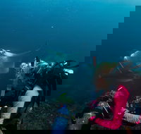 5-Hour Byron Bay Introductory Scuba Diving Tour - Accommodation VIC