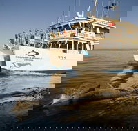 Jervis Bay Dolphin Watch Cruise - Accommodation VIC