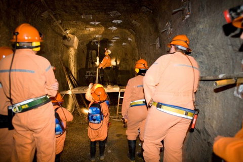 14 Day Dinos, Crocs And Gold - Accommodation VIC 3