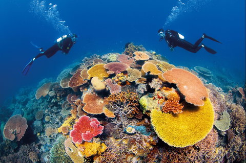 Agincourt Reef - Accommodation VIC 0