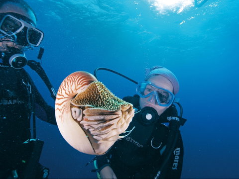 Agincourt Reef - Accommodation VIC 1