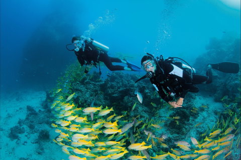 Agincourt Reef - Accommodation VIC 2