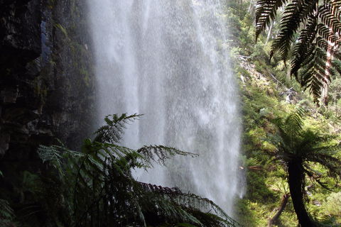 Bindaree Falls - Accommodation VIC 2