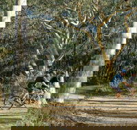 Bundanoon cycling route - Accommodation VIC