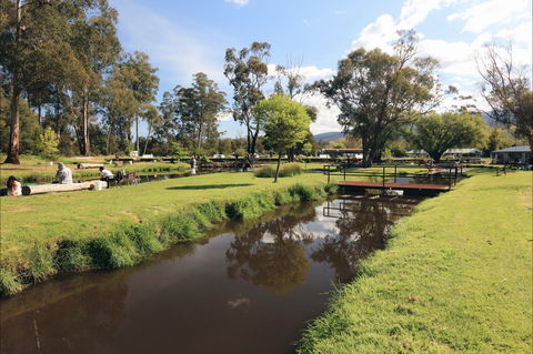 Buxton Trout And Salmon Farm - Accommodation VIC 1