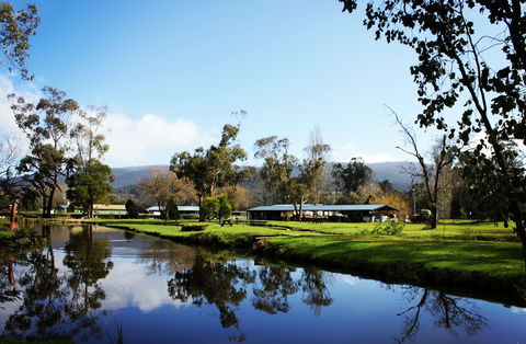Buxton Trout And Salmon Farm - Accommodation VIC 2