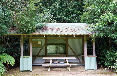 Coachwood Picnic Area - Accommodation VIC 0