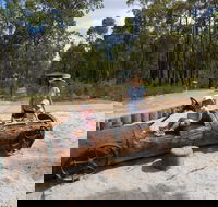 Crooked Brook Forest - Accommodation VIC