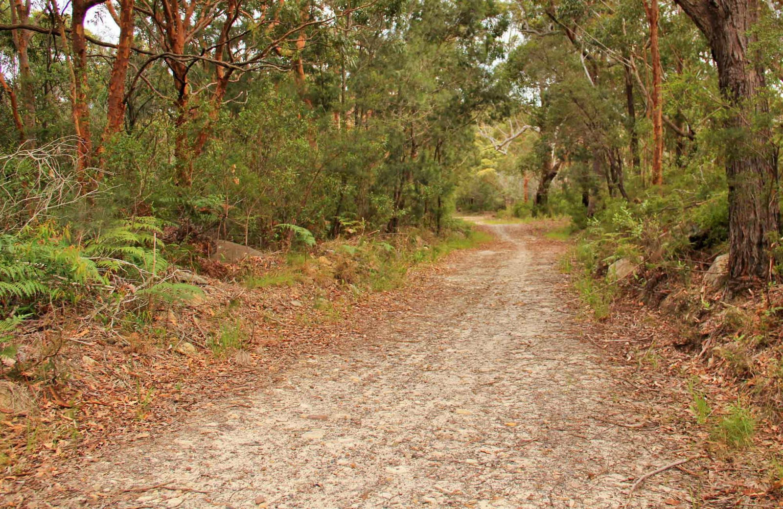 Killcare Heights NSW Accommodation VIC