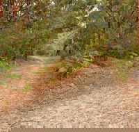 Daleys Point Walking Track - Accommodation VIC