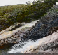 Davies Creek National Park and Dinden National Park - Accommodation VIC