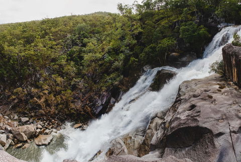 Davies Creek National Park And Dinden National Park - Accommodation VIC 0