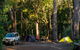Davies Creek National Park And Dinden National Park - thumb 1