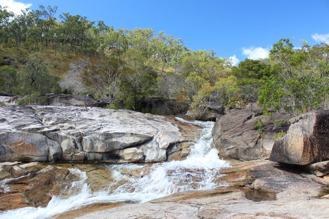 Davies Creek National Park And Dinden National Park - Accommodation VIC 2