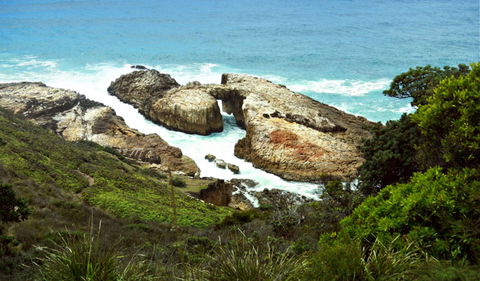 Diamond Head Loop Walk - Accommodation VIC 0