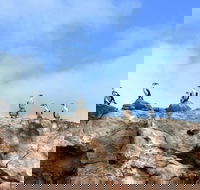 Dirk Hartog Island National Park - Accommodation VIC