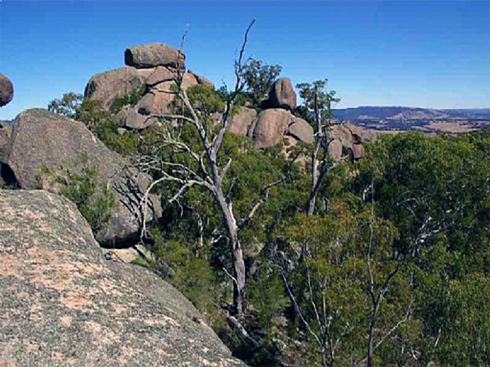 Tarana NSW Accommodation VIC
