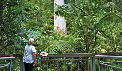 Grandis Picnic Area - Accommodation VIC 0