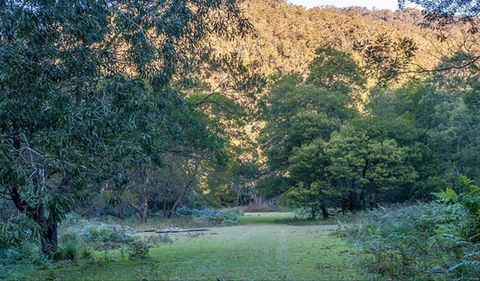 Griffins Walking Track - Accommodation VIC 0
