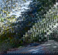 Hastings Forest Way Touring Route - Accommodation VIC
