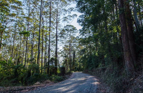 Hastings Forest Way Touring Route - Accommodation VIC 0