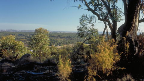 Heathcote-Graytown National Park - Accommodation VIC 0