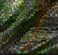 Hidden Treasure Track - Accommodation VIC
