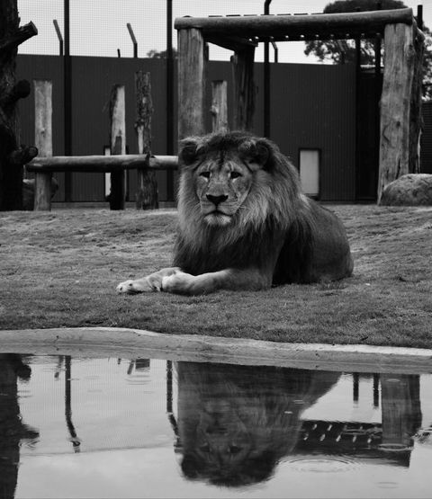 Hunter Valley Zoo - Accommodation VIC 0