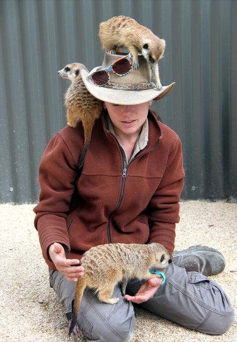 Hunter Valley Zoo - Accommodation VIC 2